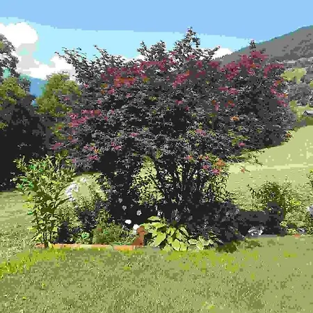 Loretz Luzia Apartment