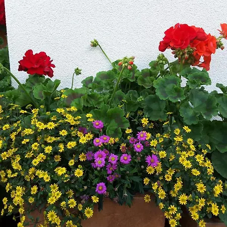 Loretz Luzia Silbertal