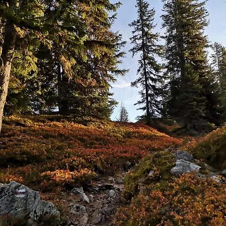 Appartamento Loretz Luzia