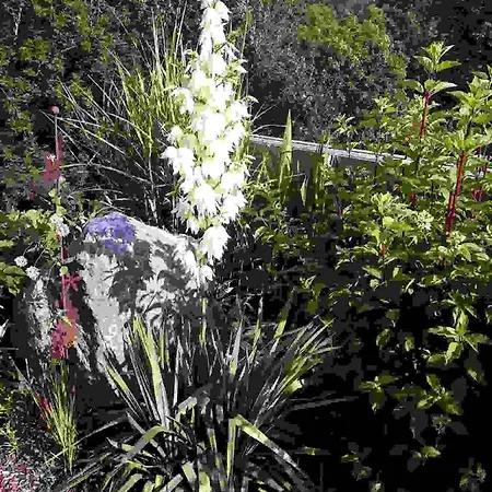 Apartment Loretz Luzia Silbertal