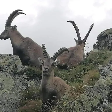 Apartment Loretz Luzia