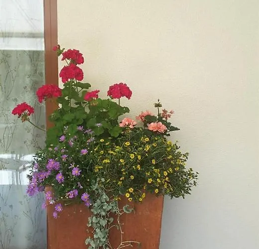 Loretz Luzia Apartment