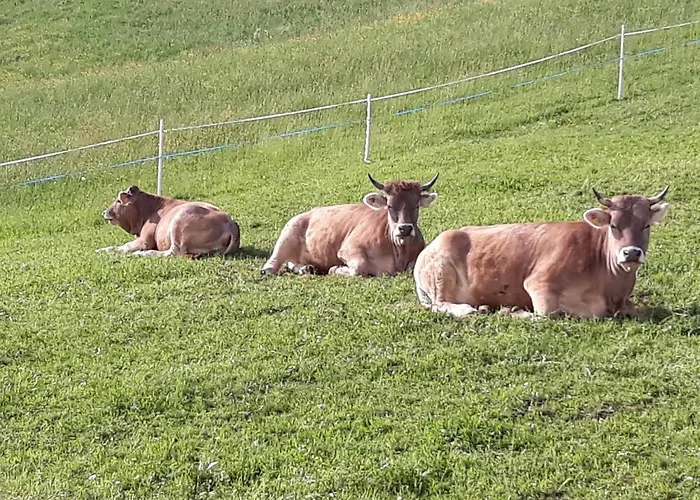 Apartment Loretz Luzia