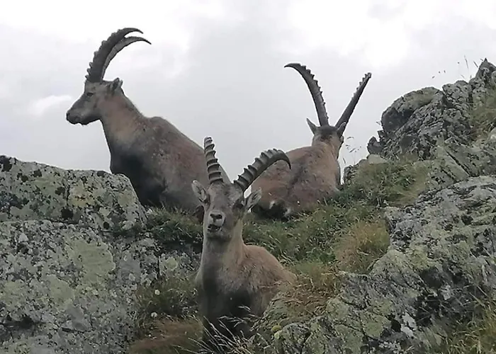 Apartment Loretz Luzia